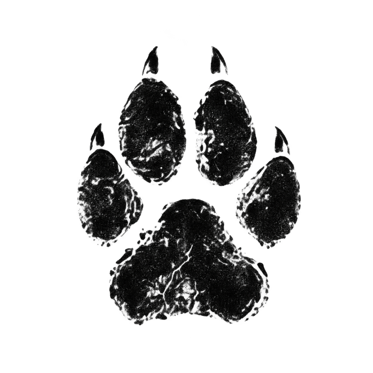 Black ink dog paw print for Yoshi, my Belgian Malinois