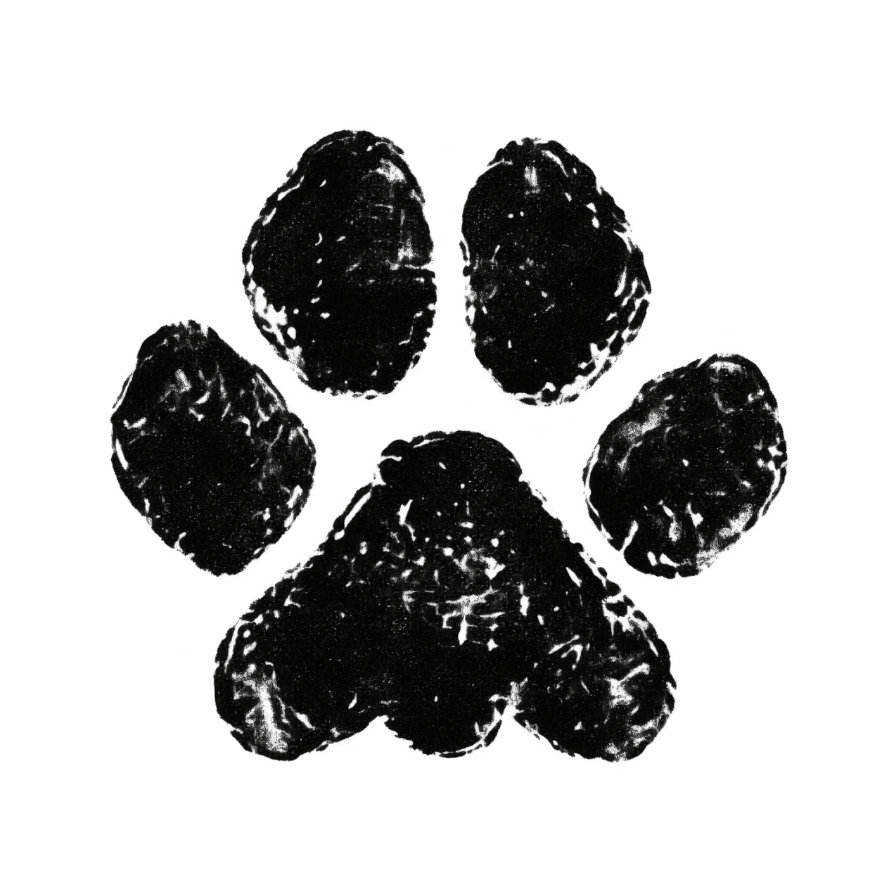 Black ink cat paw print for Dollar, my Maine Coon